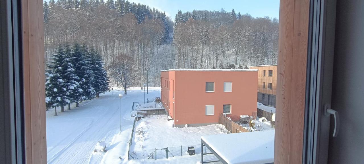 Apartman Nely Svoboda nad Úpou 외부 사진
